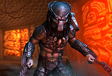 AVP: Evolution
