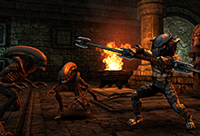 AVP: Evolution