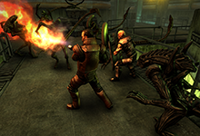 AVP: Evolution